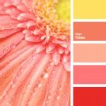 pink monochrome color palette | Color Palette Ideas