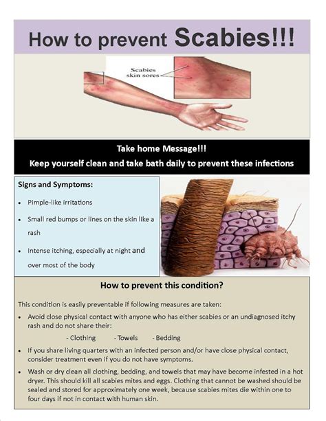 YAISHWARYAJ: Health Awareness Flyer on Scabies Prevention