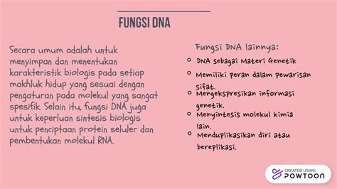 Nukleotida, Nukleosida, DNA dan RNA - YouTube