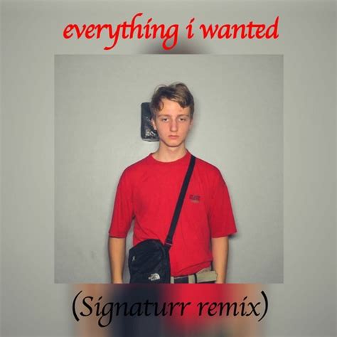 Stream everything i wanted (Signaturr Remix) by Signaturr | Listen online for free on SoundCloud