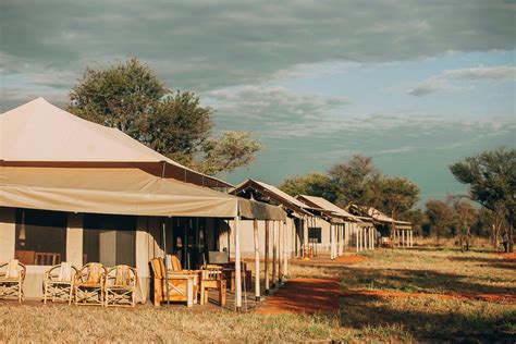 Kon tiki Serengeti camp | Serengeti National Park | Tanzania Safari Tour