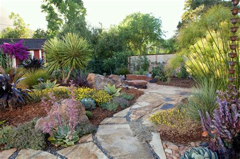 Image result for drought tolerant plants for sacramento area | Backyard ...