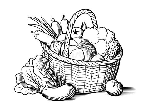 Vegetables in basket stock vector. Illustration of fresh - 79212021