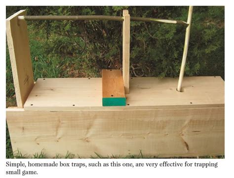 How To Build A Live Animal Trap (An Easy Illustrated Guide)