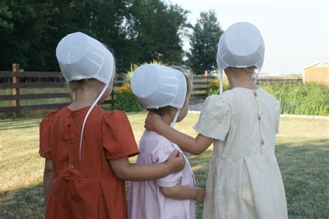 Discover the Fascinating World of the Amish in Northern Indiana | NITDC