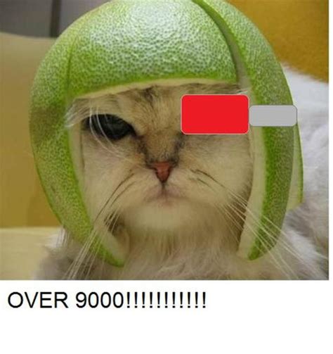 Over 9000 lime cat! | Limecat | Know Your Meme