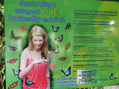 Australian Butterfly Sanctuary Kuranda, Tropical Queensland - Mum's Little Explorers