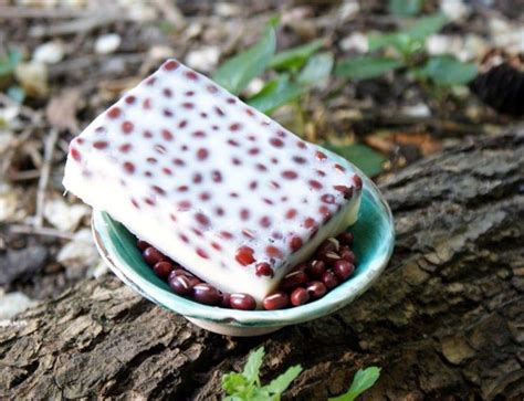 DIY Adzuki Bean Soap | Homemade soap recipes, Massage bars, Homemade ...