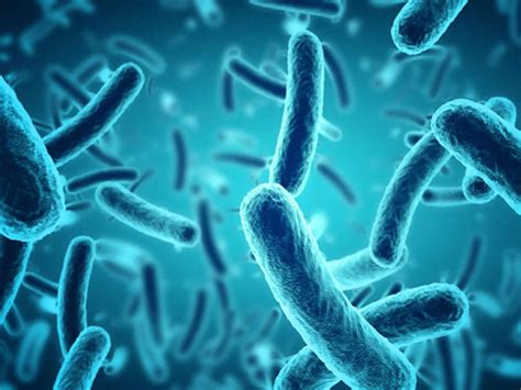 Nosocomial infection definition, nosocomial pathogens, nosocomial pneumonia