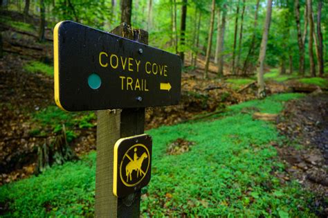 Your guide to outdoor adventures at Lost River State Park - West Virginia State Parks