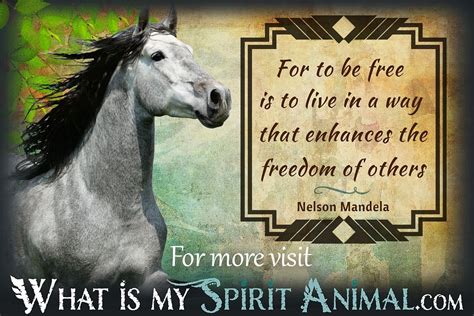 Horse Quotes & Sayings | Animal Quotes & Sayings