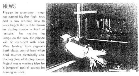 1940 - Project Pigeon (1948 - Project Orcon) - B.F. Skinner (American) - cyberneticzoo.com