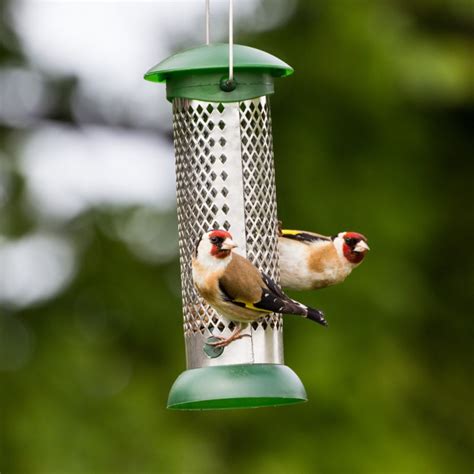 Bird Feeder - Goldfinch - GardenBird