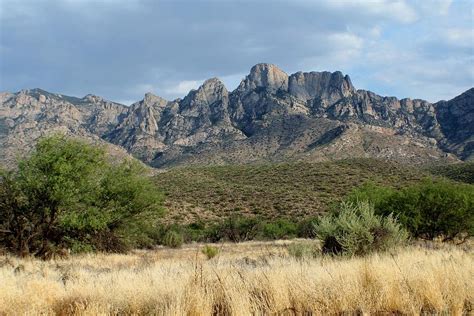 Santa Catalina Mountains Photograph by Adrienne Christian - Fine Art America