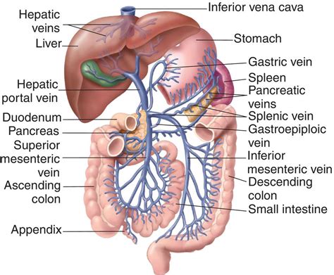 Full Size Picture portal-circulation.jpg