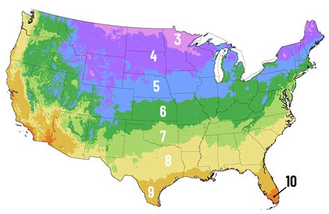 15+ Usda calculator - SakinaAukse