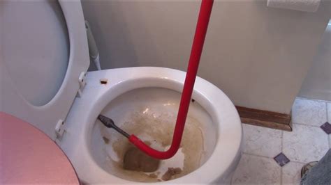 How To Use A Toilet Snake Auger - Snake Poin