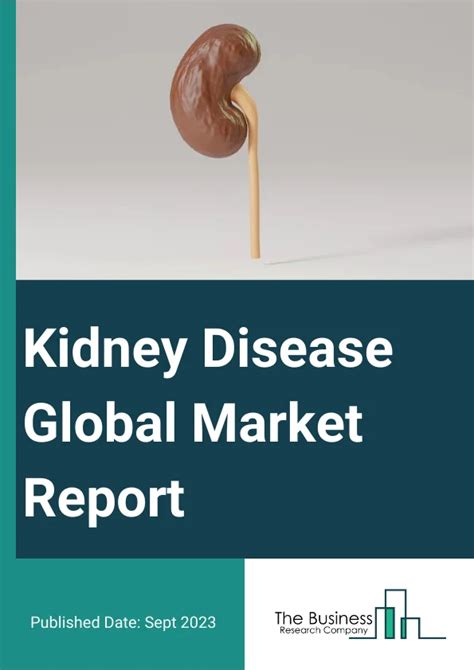 Kidney Disease Global Market Report 2023 | by Chaithanyatbrc | Medium