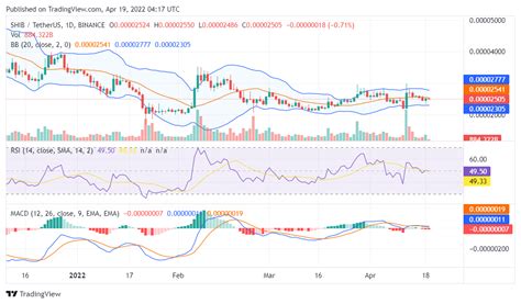 Shiba Inu fell back to the $0.000025 price level: Watch out for these levels | Bitcoin Insider