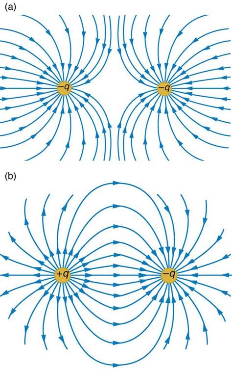 18.5 Electric Field Lines: Multiple Charges – College Physics