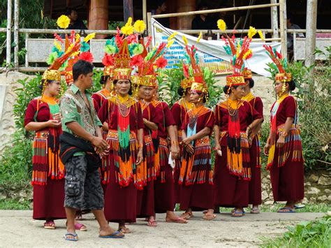 Tana Toraja Funeral Ceremony - women in traditional clothing at coffin ...