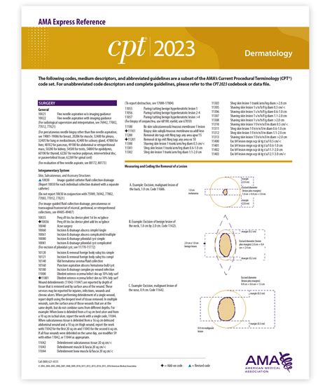 CPT 2023 Express Reference Coding Card: Dermatology by American Medical ...