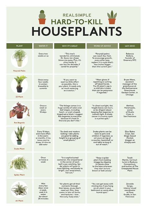 Houseplants chart | They give so much (beauty) yet ask for so little ...