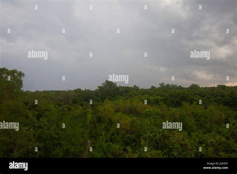 An aerial view of the Sundarbans, a UNESCO World Heritage Site and a ...