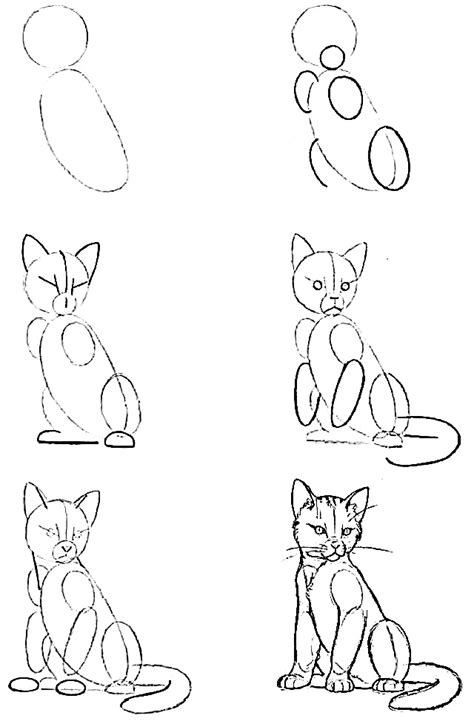 How to draw a cat step by step - 10 drawing tutorials for beginners