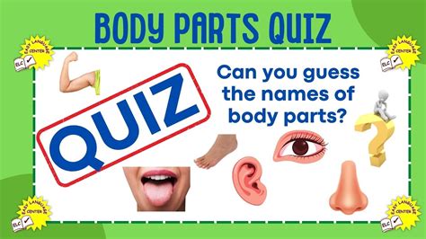 Body Parts QUIZ - Do you Know the Names of Body Parts? English Vocabulary Quiz - YouTube