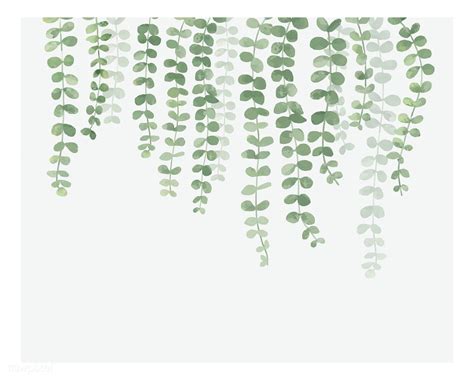 Illustration of hanging plant isolated on white background | free image ...