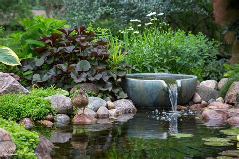 Benefits of Having a Garden Pond - Aquascapes