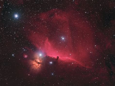 Horsehead Nebula Region Wide Field - Astrodoc: Astrophotography by Ron Brecher