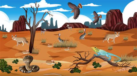 Desert Animals Illustrations, Royalty-Free Vector Graphics & Clip Art ...