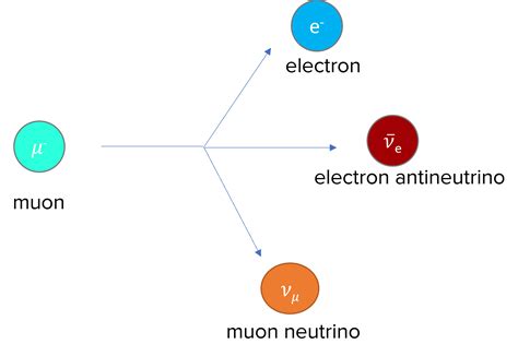 Classification of Particles Questions and Revision | MME