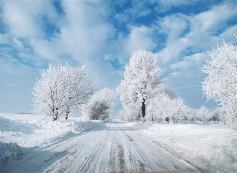 January Scenery Wallpapers on WallpaperDog