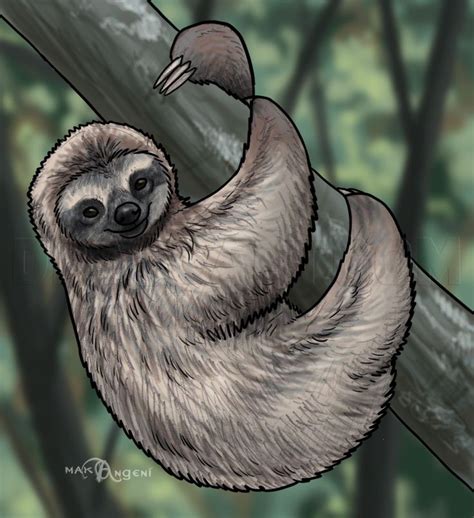 a drawing of a sloth hanging on a tree branch