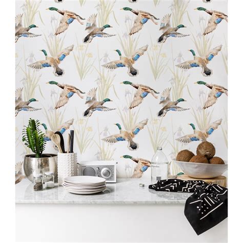 Duck Family Wallpaper, wall mural - ColorayDecor.com