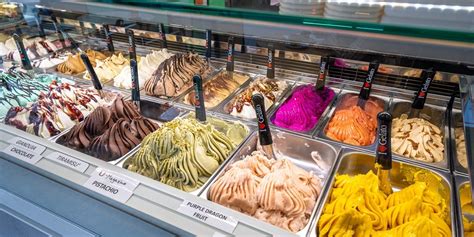 Healthy Italian Gelato Wins Over California and Florida: Gelato-Go - Gelato Go