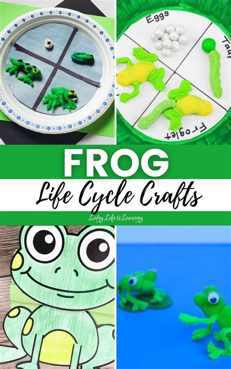 Frog Life Cycle Crafts Story - Living Life and Learning