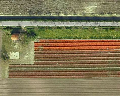 Beautiful Aerial Shots of Dutch Tulip Fields