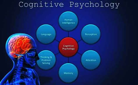 Cognitive Psychology - MaPuPa