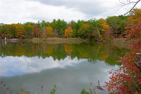 Cheesequake State Park In Matawan, NJ | America's State Parks