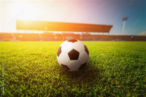 Green grass in soccer stadium Stock Photo | Adobe Stock