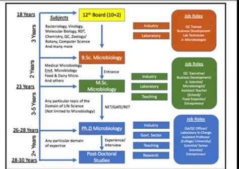 Careers after Bsc Microbiology?? - Brainly.in