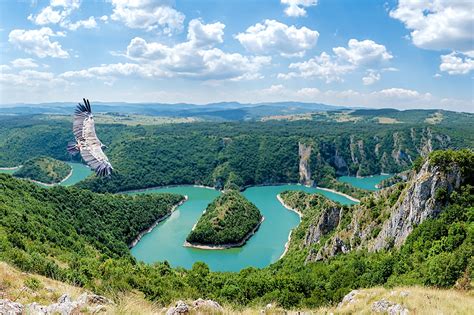 10 Best Things to Do in Serbia - What is Serbia Most Famous For? - Go Guides