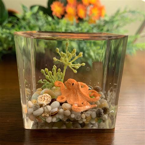 Miniature Octopus Aquarium Marine Aquarium Cube | Etsy