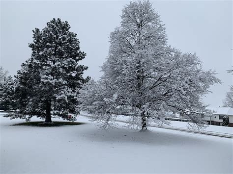 Michigan Winter Snow - Free photo on Pixabay - Pixabay