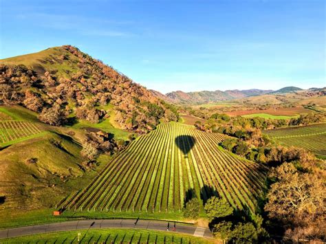 The 15 Best Napa Valley Tours | Travel | US News