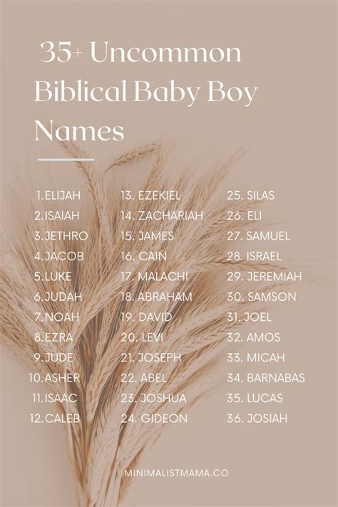 35+ Unique Biblical Boys Names That You'll Fall in Love With | Baby boy ...